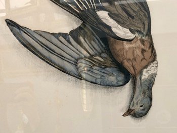 Pair Of Wood-pigeon Lithographs, Signed Jérôme Trolliet And Dated 1972