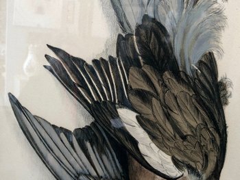 Pair Of Wood-pigeon Lithographs, Signed Jérôme Trolliet And Dated 1972