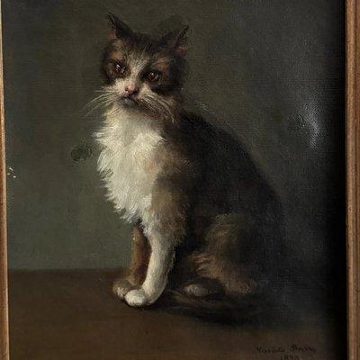 Öl auf Leinwand, Porträt einer Katze, signiert von Henriette Barry 1899
