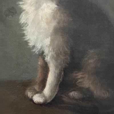 Öl auf Leinwand, Porträt einer Katze, signiert von Henriette Barry 1899