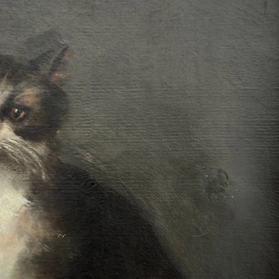 Öl auf Leinwand, Porträt einer Katze, signiert von Henriette Barry 1899