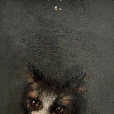 Öl auf Leinwand, Porträt einer Katze, signiert von Henriette Barry 1899