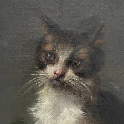 Öl auf Leinwand, Porträt einer Katze, signiert von Henriette Barry 1899