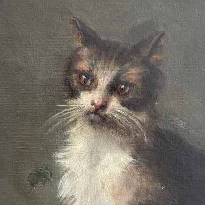 Öl auf Leinwand, Porträt einer Katze, signiert von Henriette Barry 1899