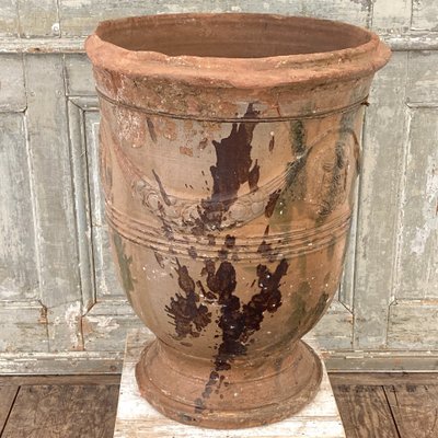 Vaso Anduze XIX secolo
