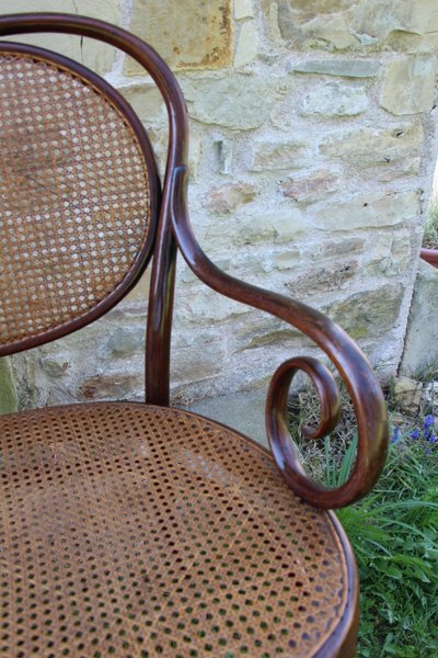 Curved Wooden Bench No. 5 Signed De Thonet 19th Century