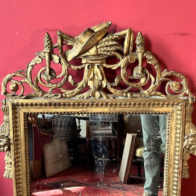 Mirror with garden attributes, Louis XVI period