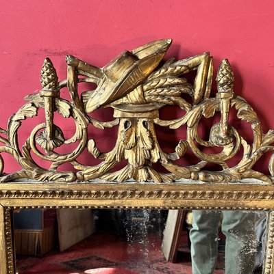 Mirror with garden attributes, Louis XVI period