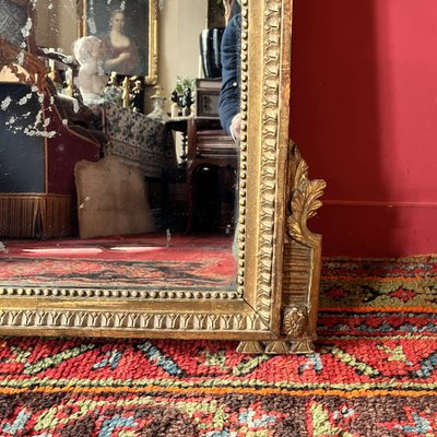 Mirror with garden attributes, Louis XVI period
