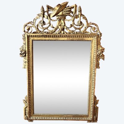 Mirror with garden attributes, Louis XVI period