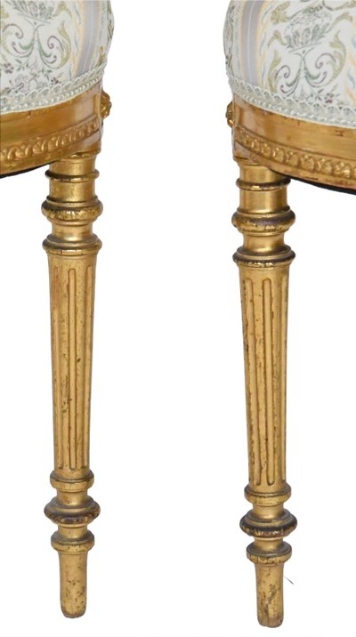 Pair of Louis XVI style chairs in gilded wood