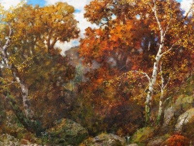 Eduard Paul RÜDISÜHLI, Paesaggio autunnale: fiume, rocce e sottobosco