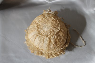 Cuffietta in pizzo batista color avorio per neonato o bambola, inizio XX secolo 