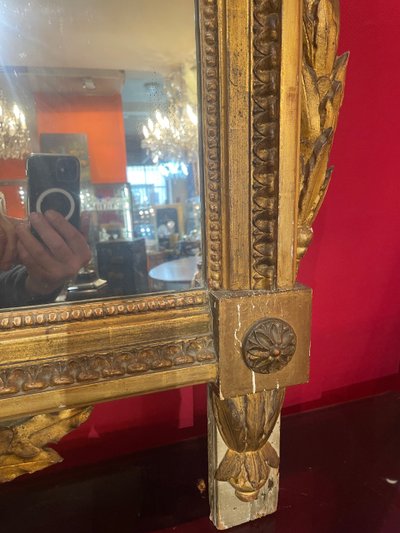 Miroir D’époque Louis XVI En Bois Doré Au Attribut De Jardinier 