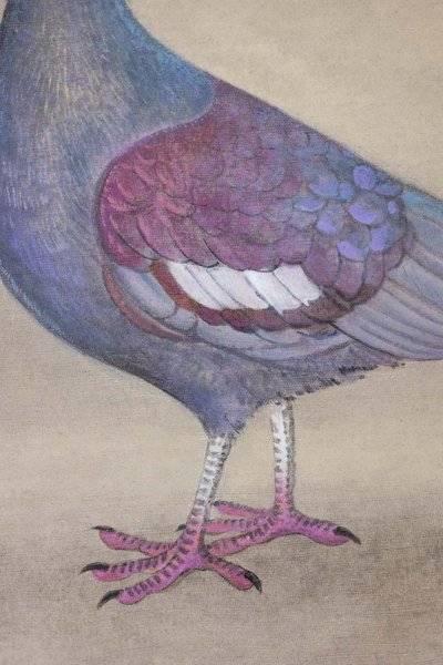 Toile peinte représentant un pigeon huppé. Contemporain. LS6340406A