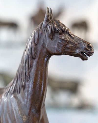 Scultura - Il cavallo di caolino, Alfred Dubucand (1828 - 1894) - Bronzo