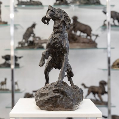 Scultura - Cane femmina setter "MISS", Arthur Marie Gabriel Comte du Passage (1838-1909) - Bronzo