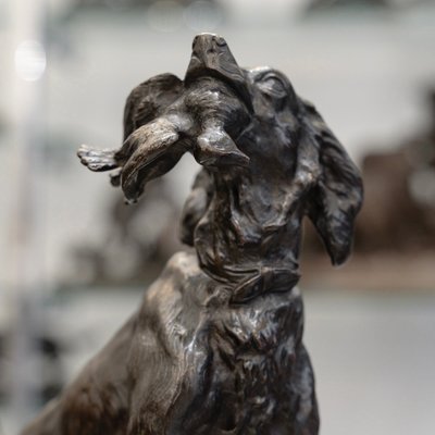 Scultura - Cane femmina setter "MISS", Arthur Marie Gabriel Comte du Passage (1838-1909) - Bronzo