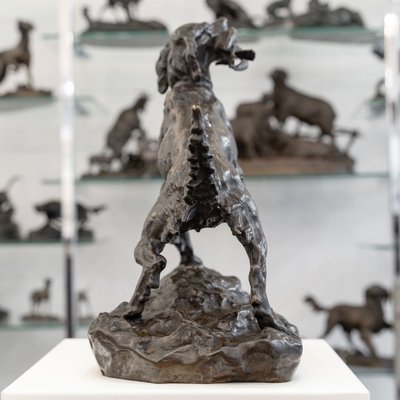 Scultura - Cane femmina setter "MISS", Arthur Marie Gabriel Comte du Passage (1838-1909) - Bronzo