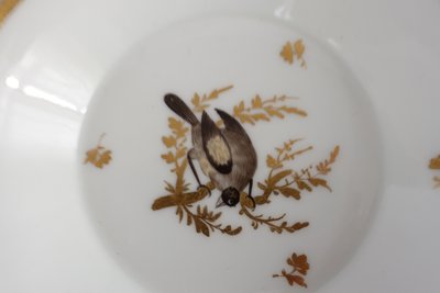 Brussels porcelain coffee service from the Directoire period: 6 bird cups