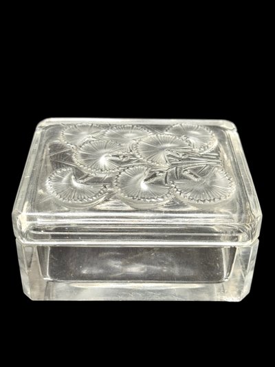 Lalique  boîte « Bleuet » 