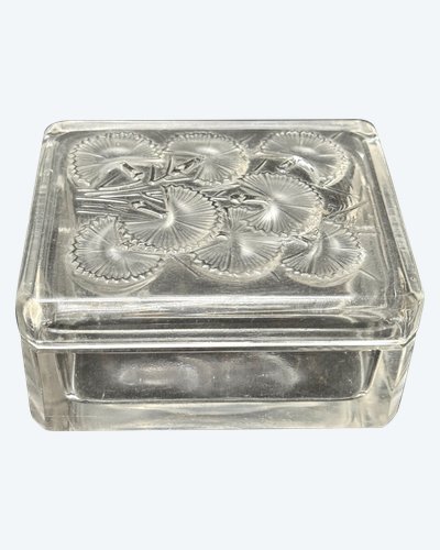 Lalique  boîte « Bleuet » 