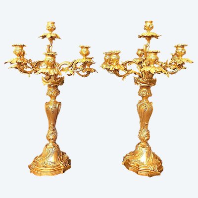 Large pair of Louis XV style candelabras in gilded and chiseled bronze