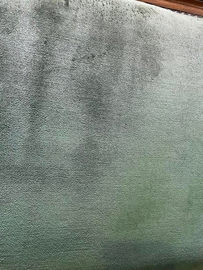 Coppia di poltrone in stile Louis XVI in velluto verde