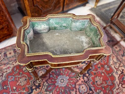 LOUIS XVI STYLE PLANTER - 19TH CENTURY