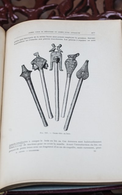 Henri COUPIN, Die Merkwürdigkeiten der menschlichen Rassen, 1905
