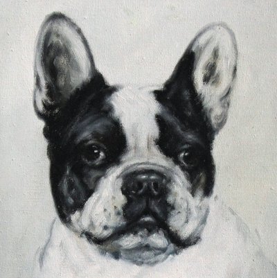 Porträt einer französischen Bulldogge, deutsches Ölgemälde auf Leinwand, frühes 20. Jahrhundert