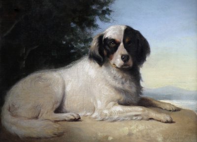 Portrait d'un chien, peinture à l'huile sur toile par Augustin Luc Demoussy