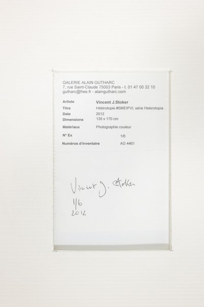 Fotografia su pellicola con una macchina fotografica a banco ottico. Opera contemporanea.