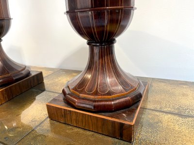Pair Of Medici Charles X Vases 