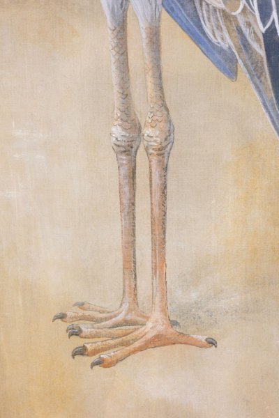 Bemalte Leinwand mit der Darstellung eines Schuhschnabels. Zeitgenössisch. LS6347908M