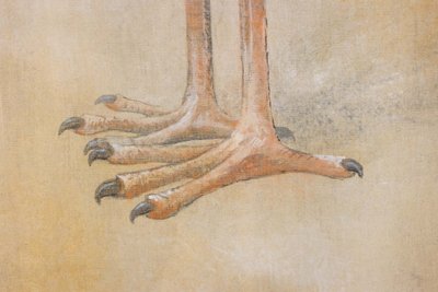 Bemalte Leinwand mit der Darstellung eines Schuhschnabels. Zeitgenössisch. LS6347908M