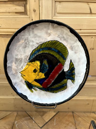 Le BRESCON - Fischservice VALLAURIS