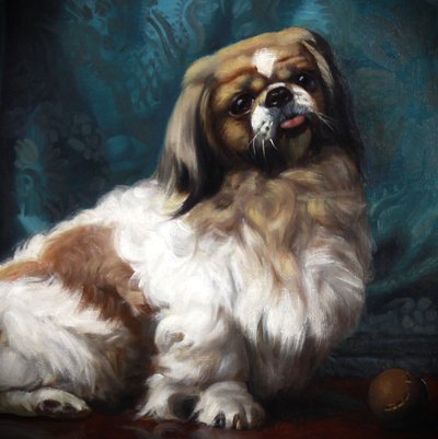 Peinture à l'huile ancienne sur toile portrait d'un chien pékinois 20e