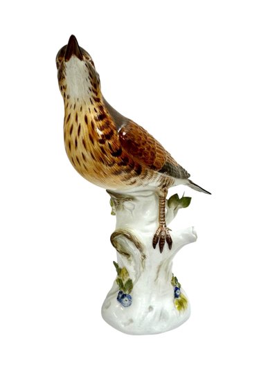 Meissen - Porcelain Figurine of a Song Thrush