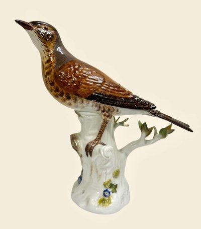 Meissen - Porcelain Figurine of a Song Thrush