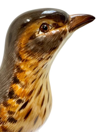 Meissen - Porcelain Figurine of a Song Thrush