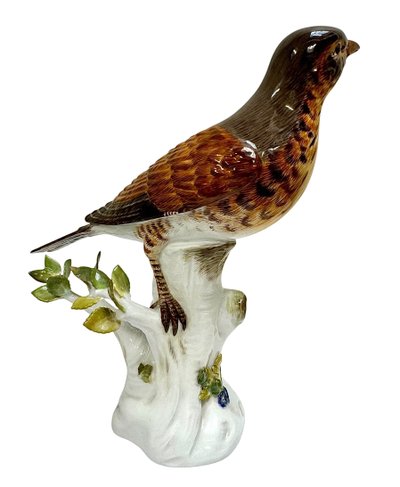 Meissen - Porcelain Figurine of a Song Thrush