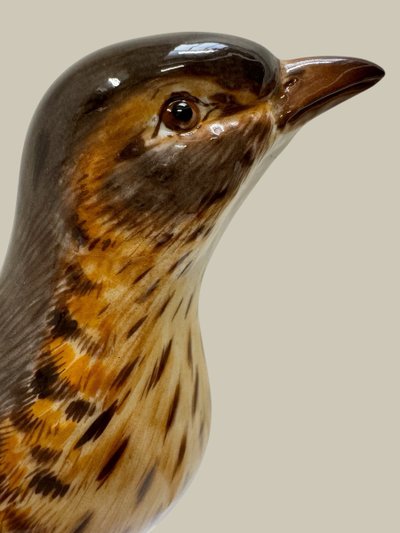 Meissen - Porcelain Figurine of a Song Thrush
