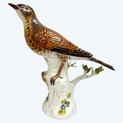 Meissen - Porcelain Figurine of a Song Thrush