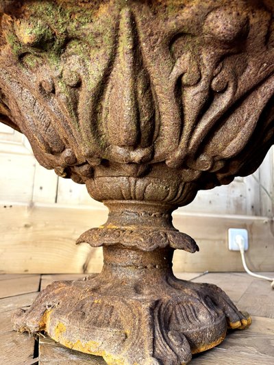 Chambord" Planters in Cast Iron