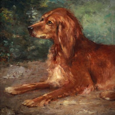 Eugène Ferdinand PARISY Ritratto di cane setter irlandese, dipinto a olio francese su tavola del XIX secolo