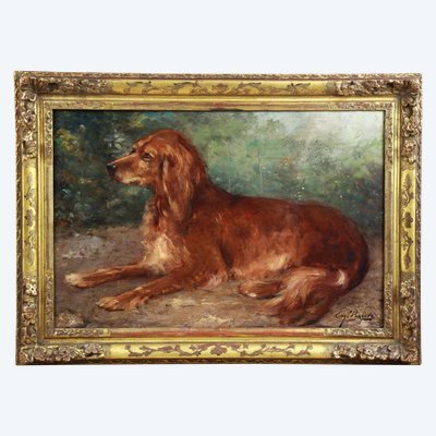 Eugène Ferdinand PARISY Ritratto di cane setter irlandese, dipinto a olio francese su tavola del XIX secolo