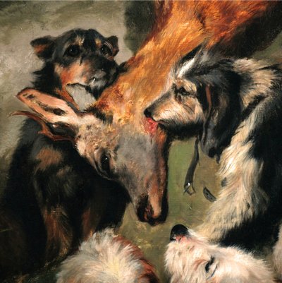 Peinture à l'huile sur toile du XIXe siècle, scène de chasse avec chiens et cerfs