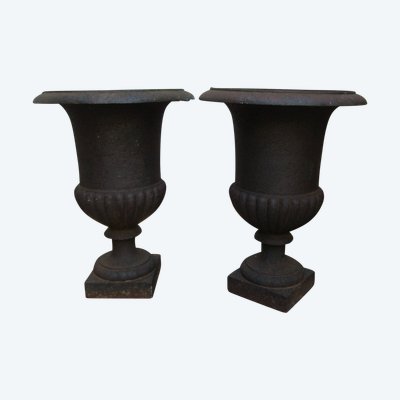 Medici vases