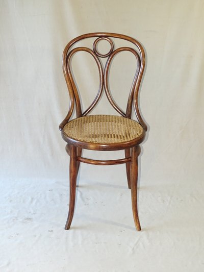 Thonet chair N°19 from 1890- bentwood - manual caning new